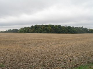 90.141 acres with 66.6 tillable and the balance in mixed hardwoods.   This is approximately 1/2 mile of road frontage on CR 850W and 1/4 mile of road frontage on CR 825N.  A timber report is available.     - 90.141 Acres with 66.6 Tillable and the Balance in Mixed Hardwoods